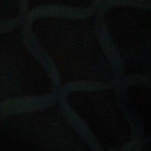 Meet your Posher, Ulises